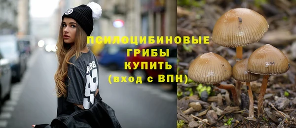 mdpv Вязьма