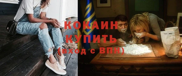твердый Вяземский