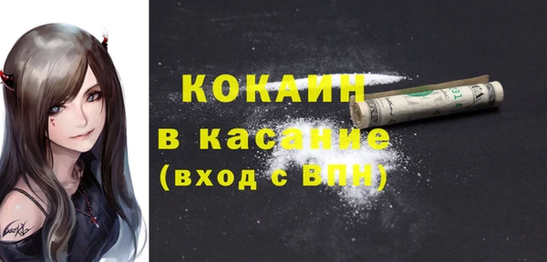 твердый Вяземский