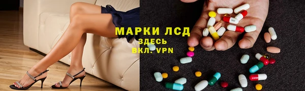 твердый Вяземский