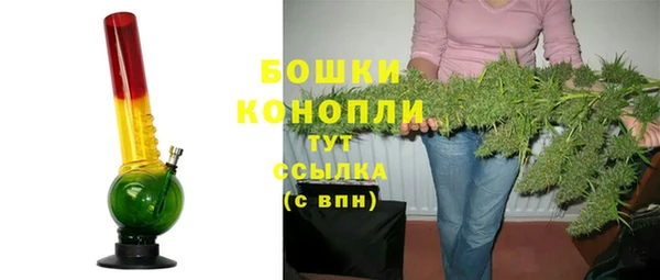 твердый Вяземский
