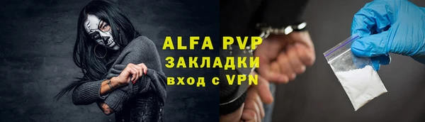твердый Вяземский
