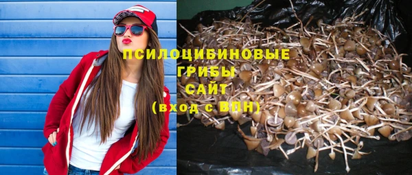 твердый Вяземский