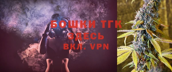 твердый Вяземский