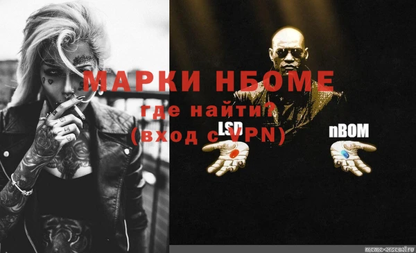 твердый Вяземский